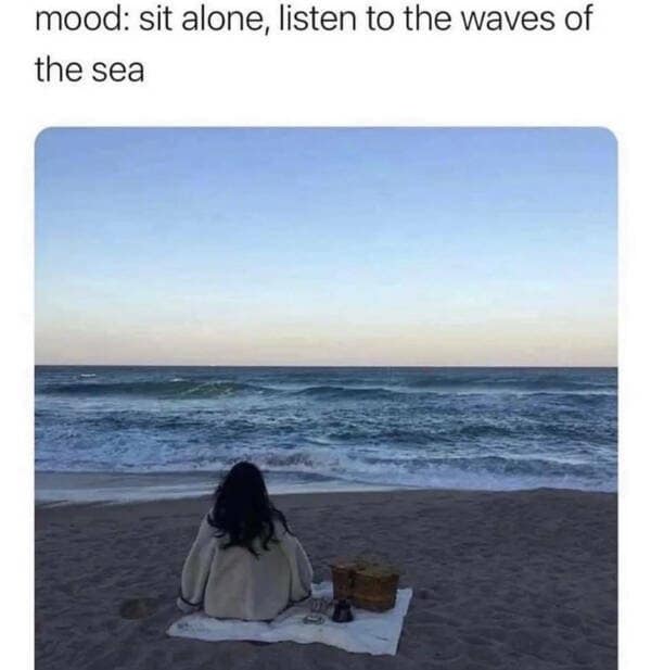 A classic meme featuring a peaceful photo of a person sitting alone on a beach watching the waves.