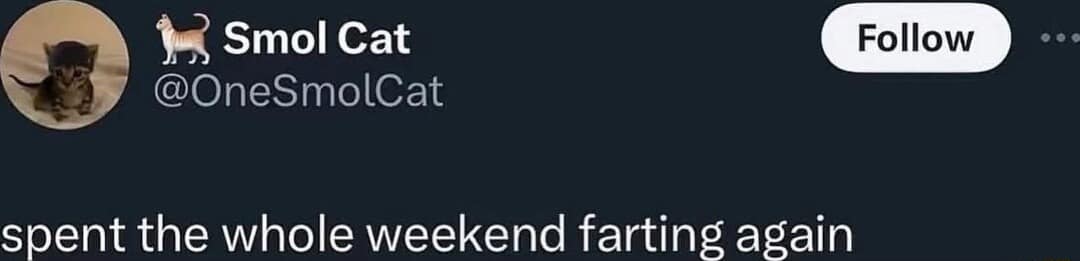 A funny tweet from a cat account stating it spent the whole weekend farting again.