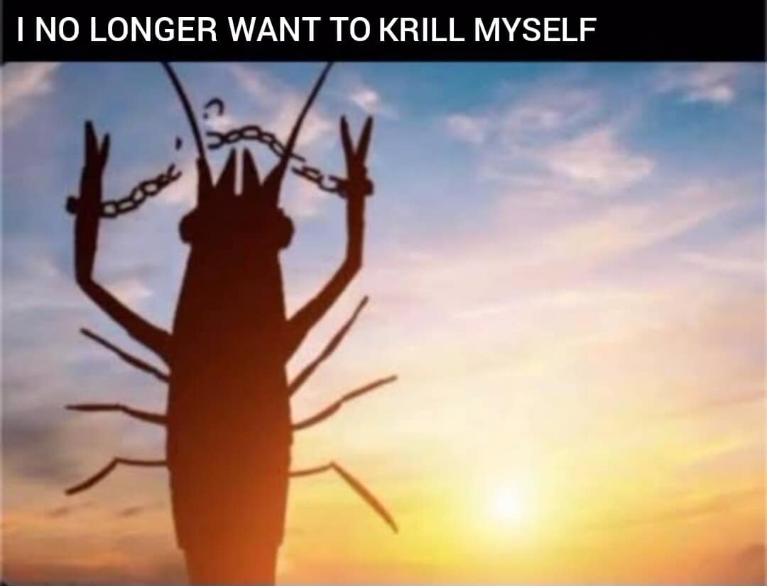 A classic meme showing a shrimp breaking its chains with the pun I No Longer Want To Krill Myself.