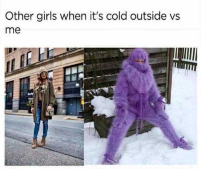 A classic meme comparing a stylish girl in a coat to someone wearing a full-body purple fuzzy suit in the cold.