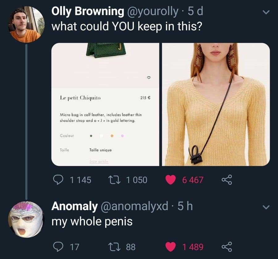 A viral tweet roasting a tiny designer bag by saying it could hold the user's whole anatomy.