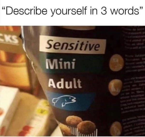A classic meme photo of a chip bag description reading Sensitive Mini Adult.
