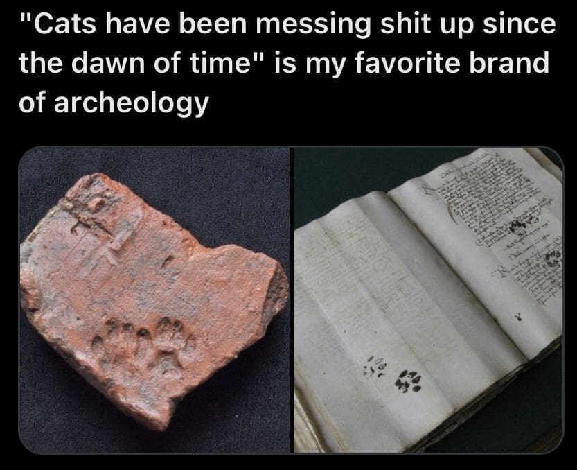 A classic meme showing an ancient Roman brick with a cat paw print pressed into it.