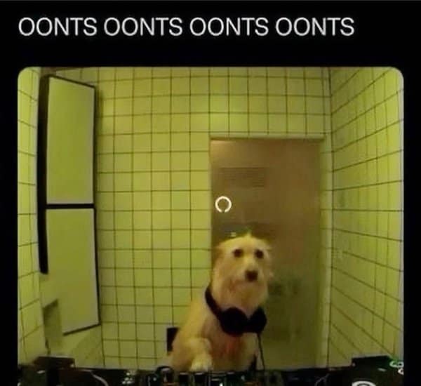 A classic meme of a dog wearing headphones looking like a DJ with loading circle and techno music text.