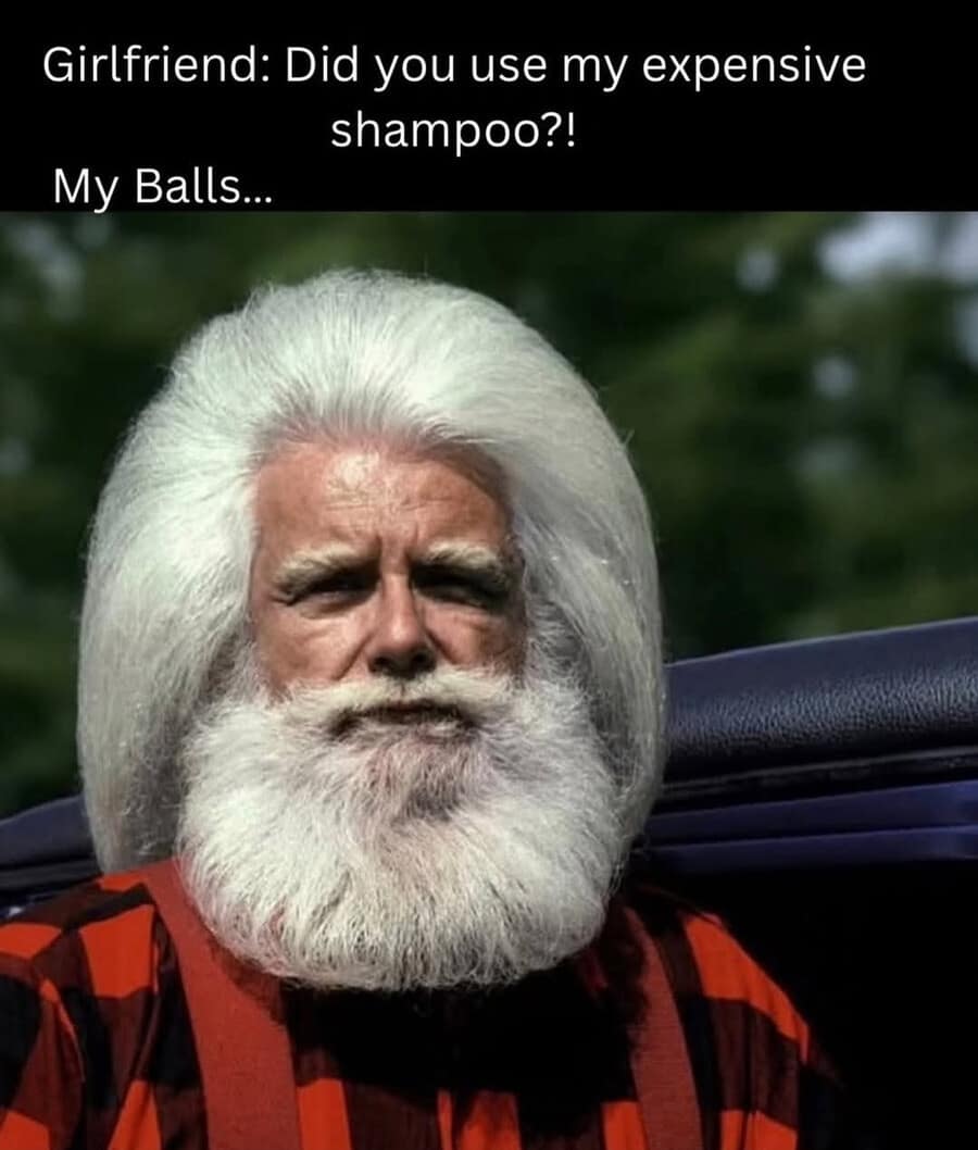 A funny meme comparing a large fluffy car wash brush to a man's balls after using expensive shampoo.
