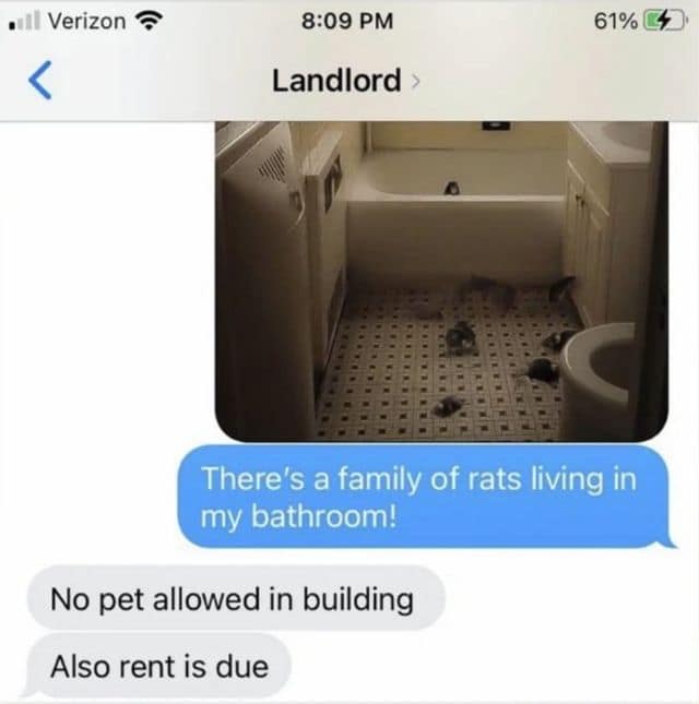 A text message to a landlord showing rats in the bathroom and the landlord replying rent is due.