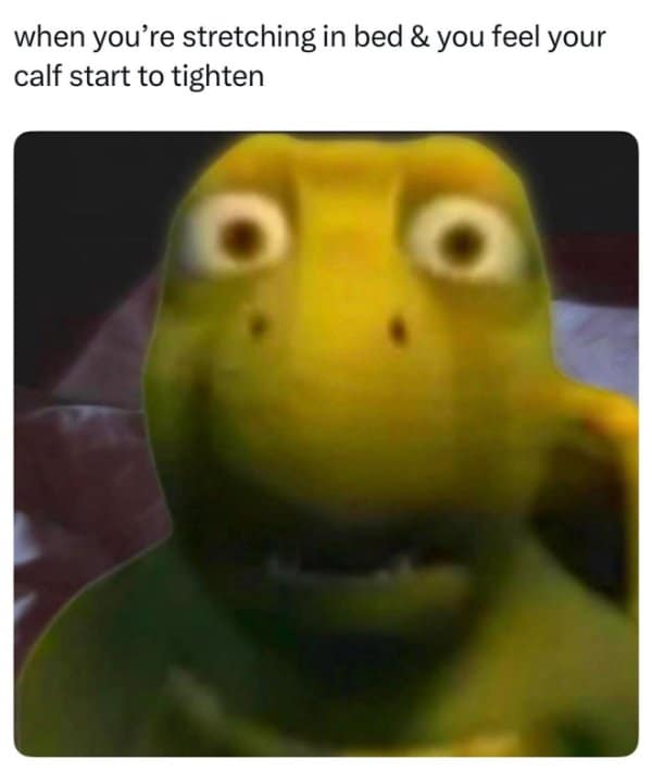 A classic meme showing a terrified turtle reacting to a calf cramp while stretching in bed.