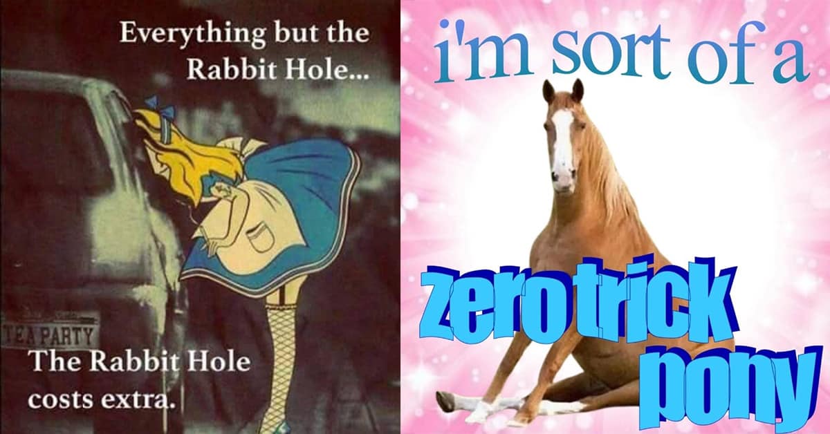 Collection of classic meme images and vintage meme compilations featuring LimeWire nostalgia and viral roasts