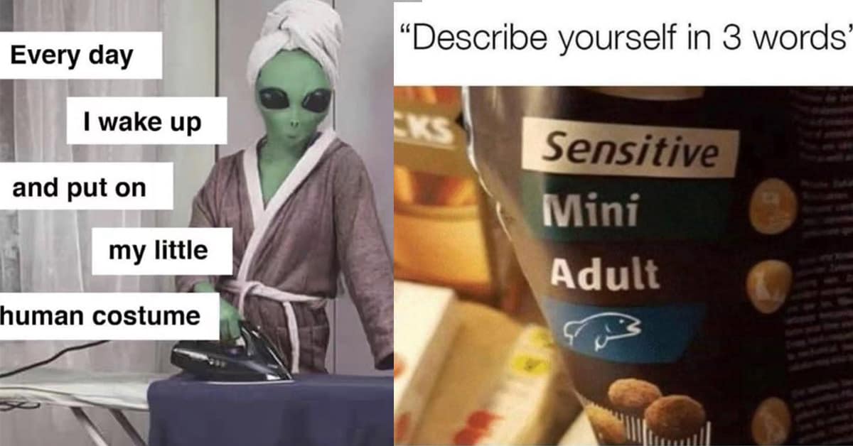 Collection of classic meme images and viral tweet compilations featuring dino nugget pillows and trash bag man