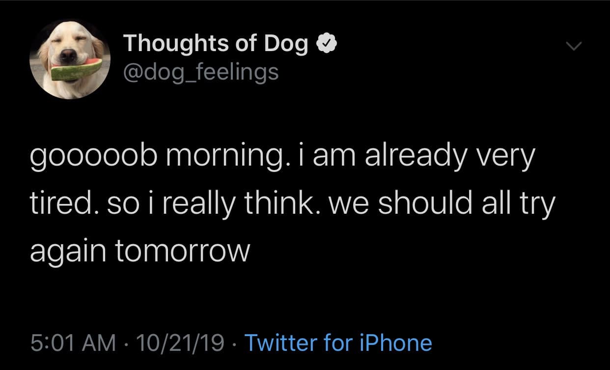 A classic meme tweet from Thoughts of Dog saying gooooob morning and suggesting trying again tomorrow.