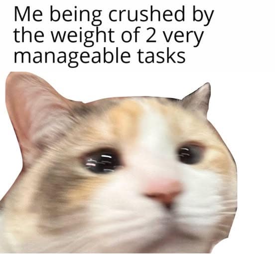 A classic meme of a crying cat being crushed by the weight of 2 very manageable tasks.