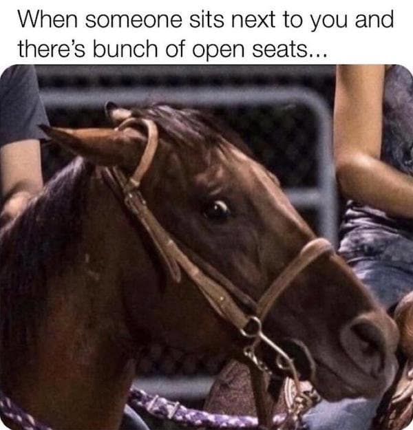 A classic meme of a horse looking sideways with a shocked expression, captioned about someone sitting next to you when there are plenty of open seats.