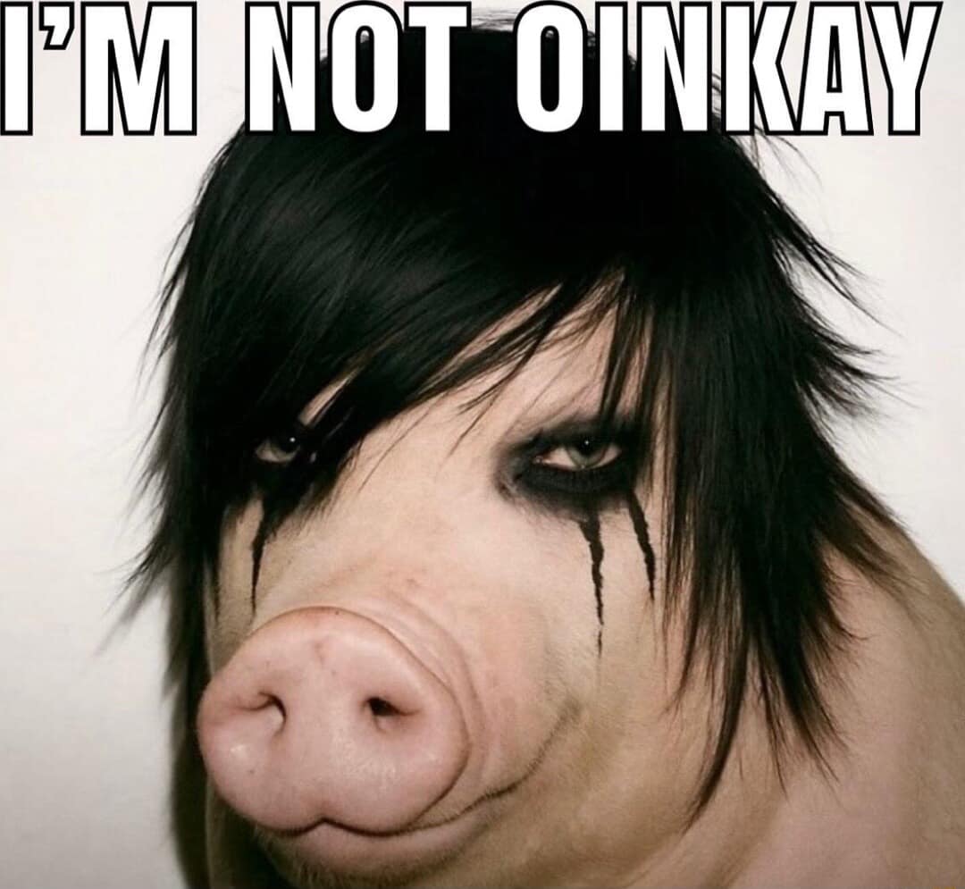 A classic meme of a pig wearing heavy black eyeliner and "emo" hair, captioned "I'M NOT OINKAY."