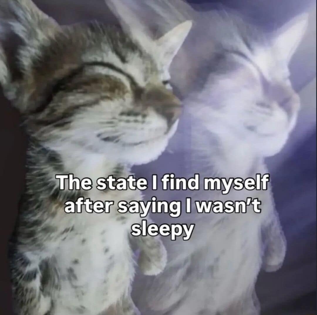 A classic meme of a blurry, sleepy kitten captioned about the state you find yourself in immediately after denying that you are tired.