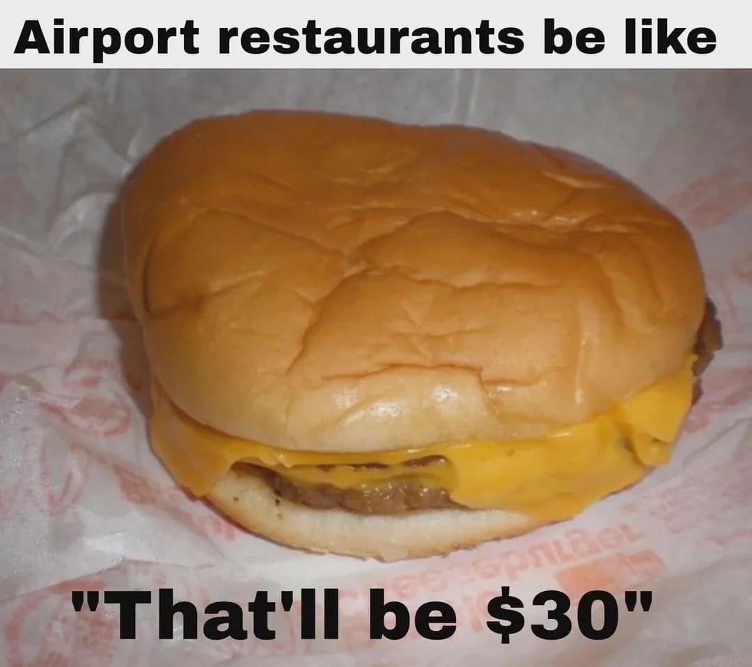 A classic meme showing a sad, squashed cheeseburger captioned "Airport restaurants be like 'That'll be $30'".
