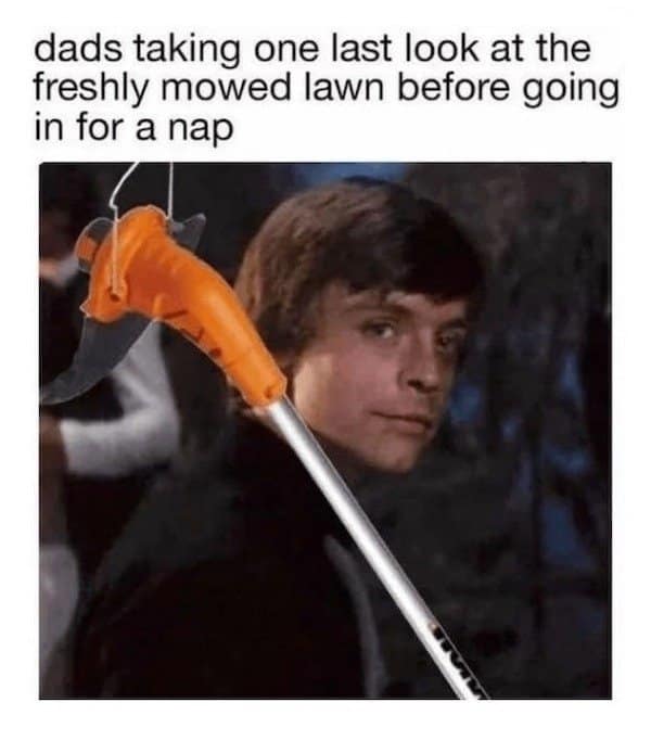 A classic meme of Luke Skywalker looking back over his shoulder, captioned about a dad admiring a freshly mowed lawn.
