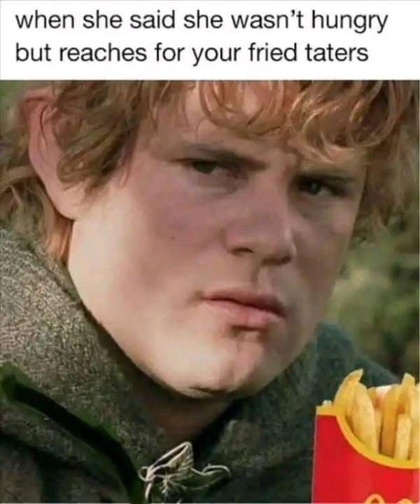 A classic meme featuring Samwise Gamgee from The Lord of the Rings giving a suspicious look regarding "fried taters."