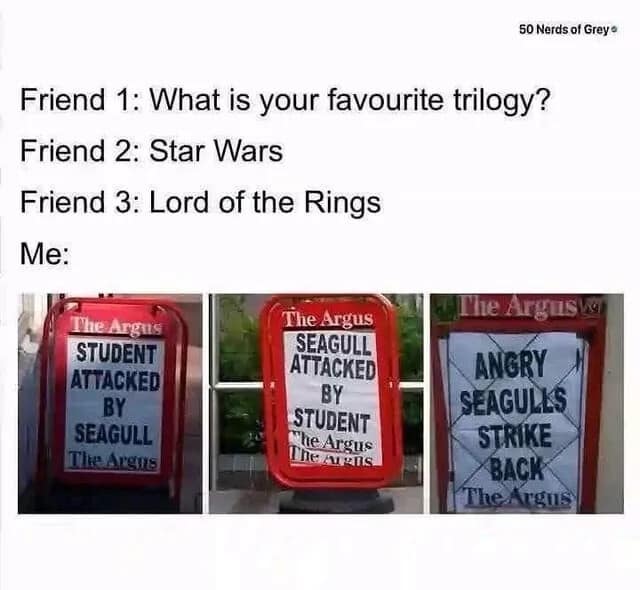 A vintage memes trilogy of newspaper signs from "The Argus" documenting a war between students and angry seagulls.