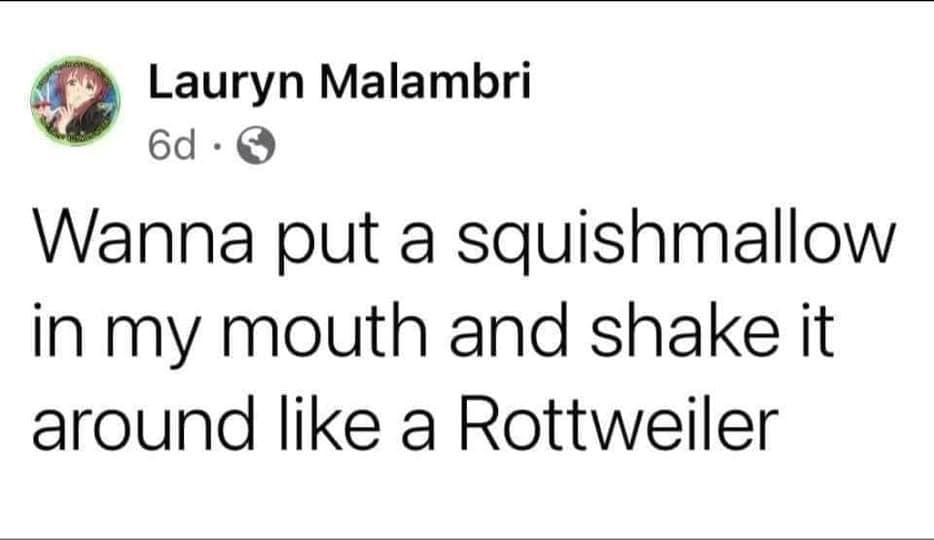 A viral tweet style Facebook post about wanting to shake a Squishmallow in mouth like a dog.