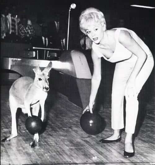 Woman in white preparing to bowl next to a kangaroo also holding a bowling ball.