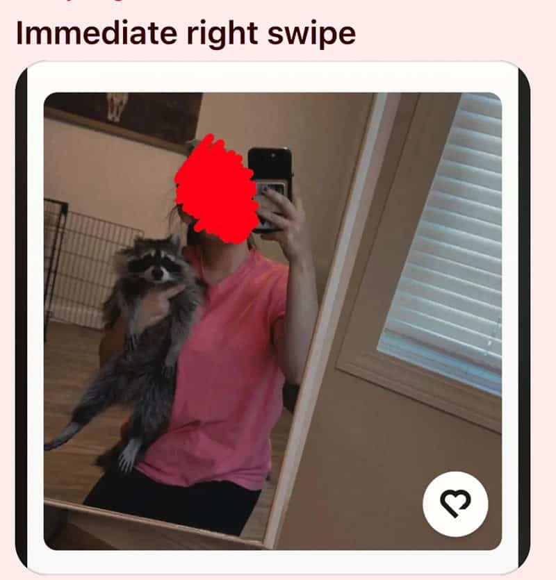 Woman holding pet raccoon in mirror selfie profile picture dating app fails.
