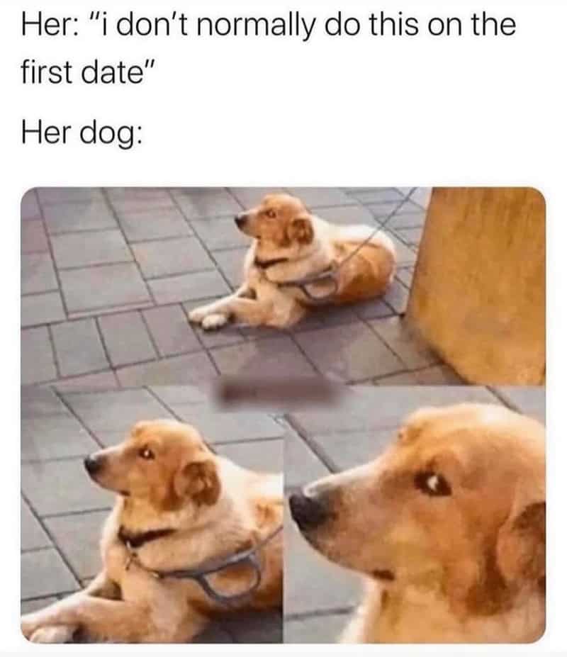 A dating meme comparing a polite dog to a side-eyeing dog representing "her vs her dog" on a first date.