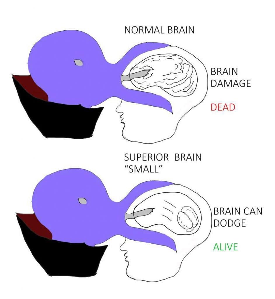 A DnD meme diagram showing a mind flayer missing a small brain labeled "Superior Brain".