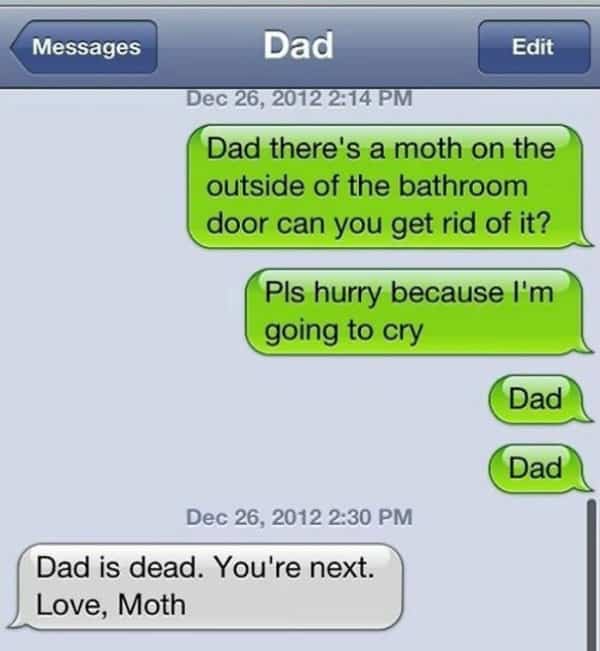 Text message conversation where a dad pretends to be killed by a moth.