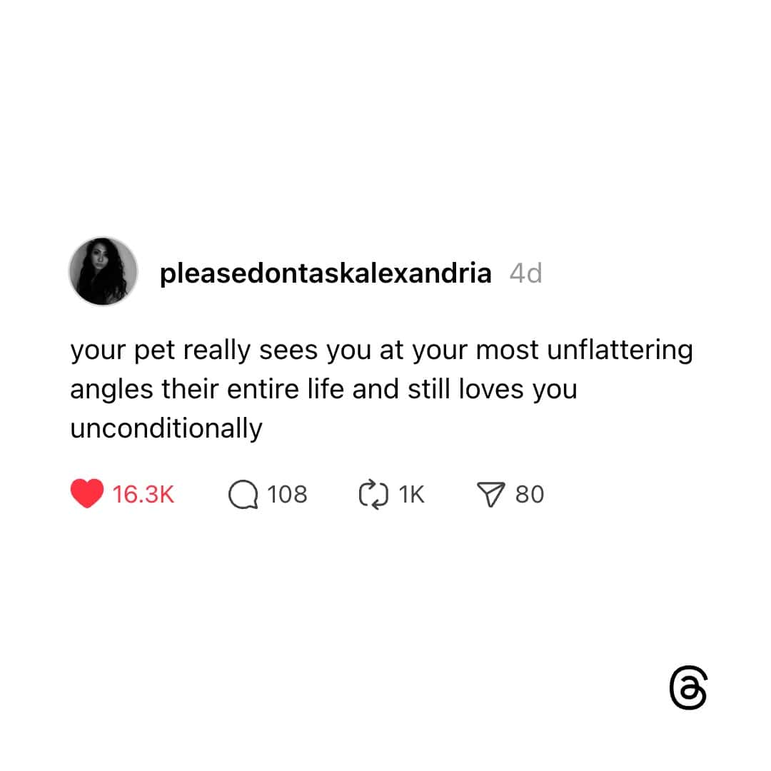 Wholesome tweet about pets loving owners despite unflattering angles.