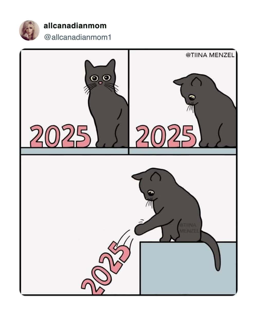 A funny cat meme comic where a black cat pushes the year 2025 off a ledge.
