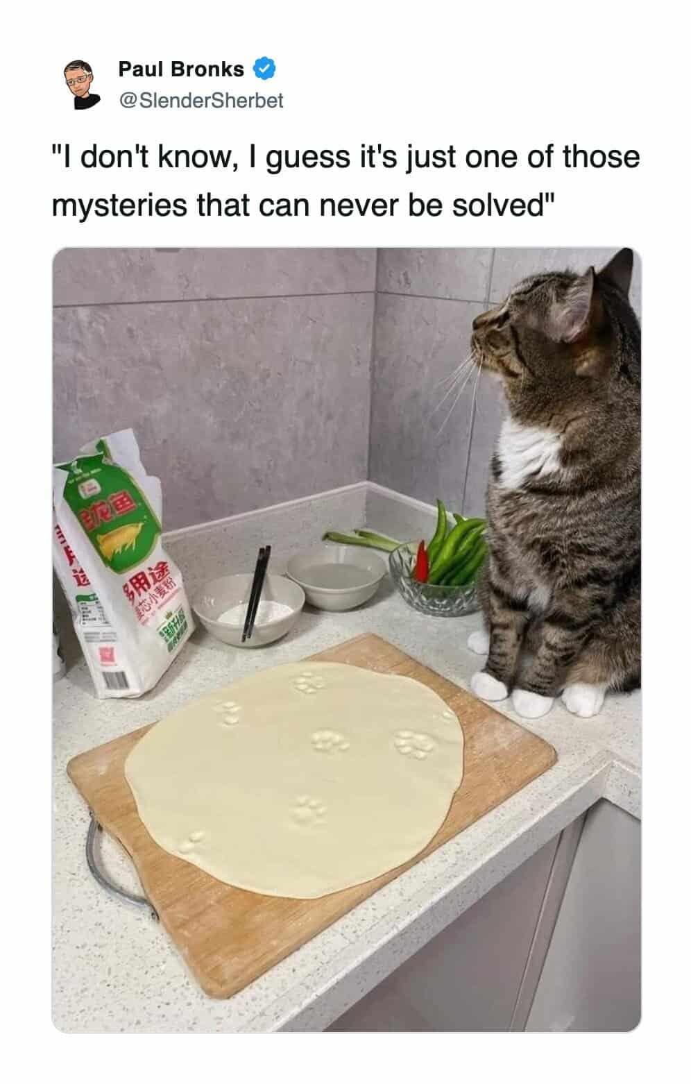 A funny cat meme of a cat looking away from paw prints left on flattened dough.