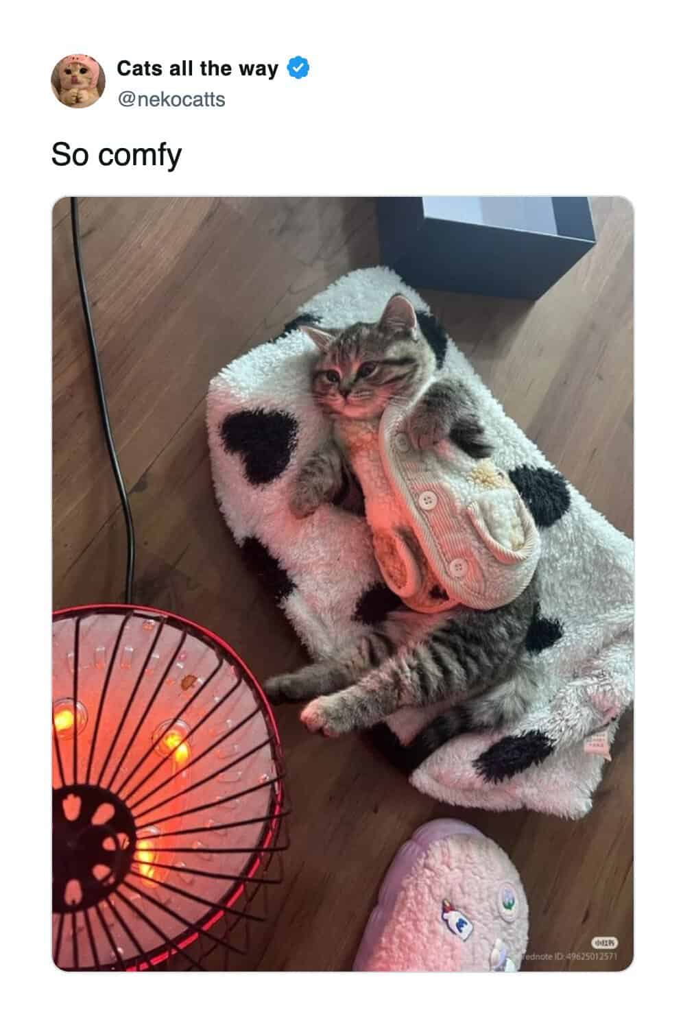 A funny cat meme of a kitten wearing a fleece vest lying back relaxing near a heater.