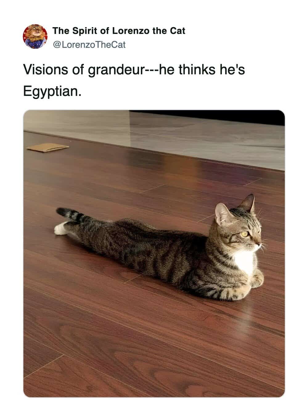A funny cat tweet describing a cat lying with paws tucked looking like an Egyptian statue.