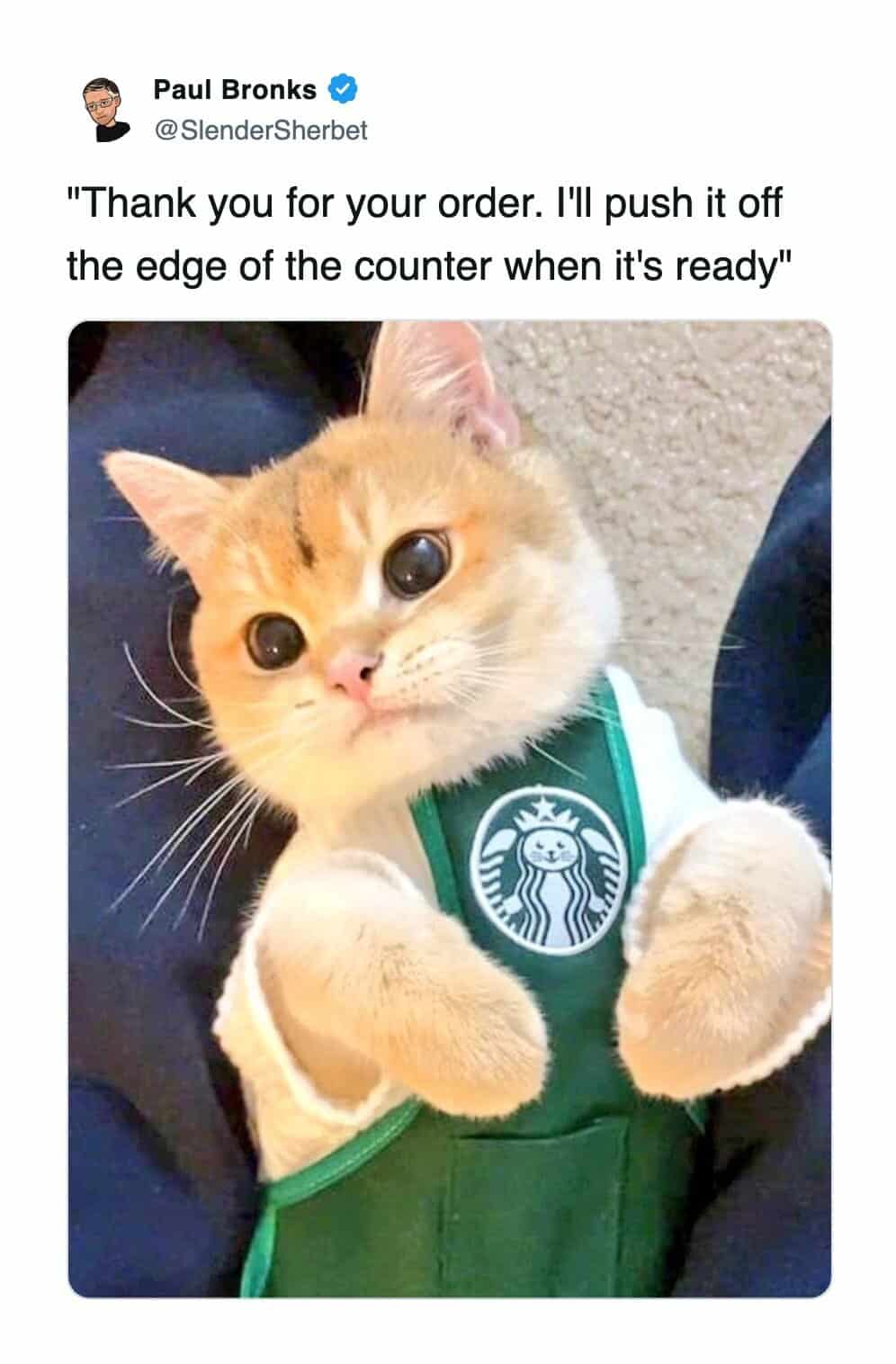 A cute cat wearing a Starbucks apron captioned about pushing orders off the counter.