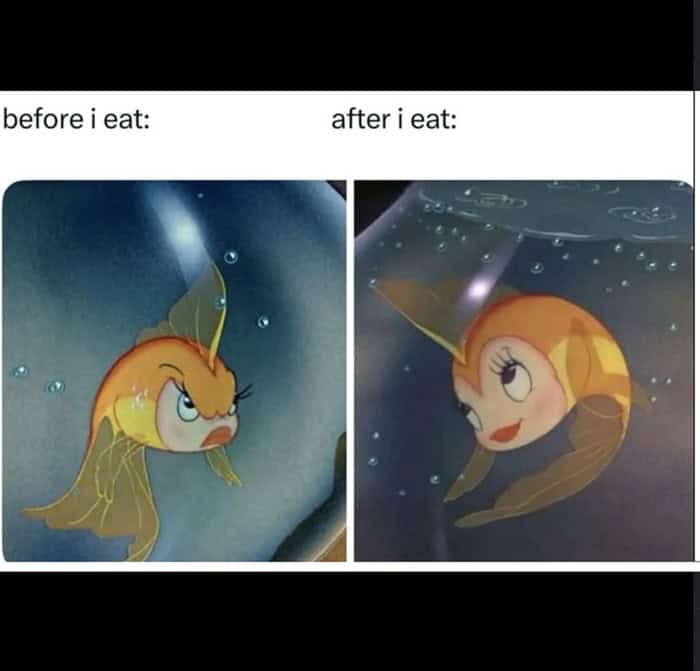 A funny food meme showing a fish looking angry before eating and flirty after eating to represent hangry mood swings.