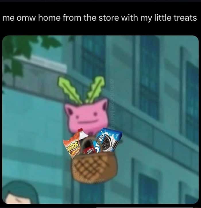 A funny food meme of a cartoon character carrying a basket of snacks like Cheetos and Oreos labeled little treats.