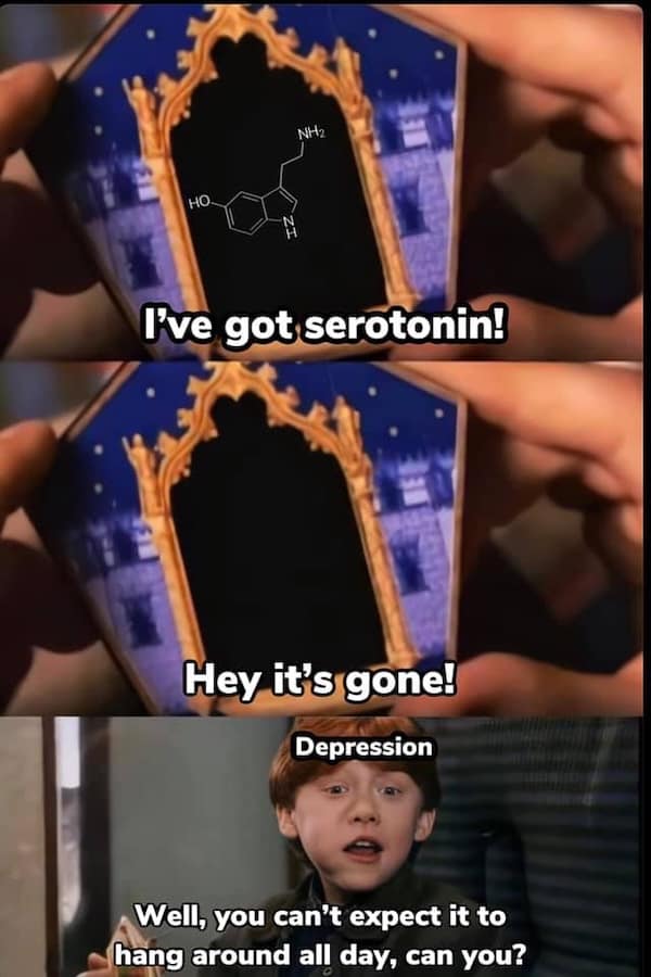 A Harry Potter meme showing a serotonin card disappearing to represent depression.