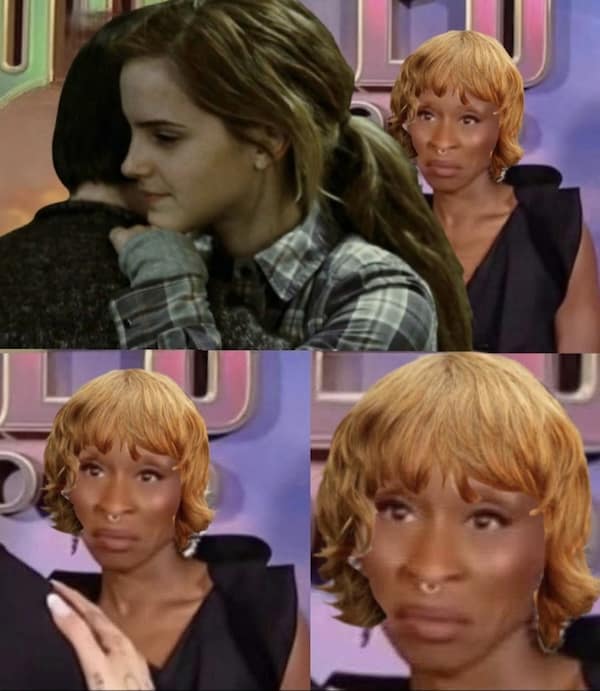 A funny Harry Potter meme with Hermione's face swapped to a side-eye meme face.