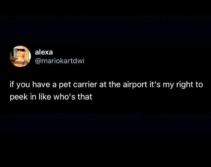 Tweet asserting the right to look inside pet carriers at airports to see animals.