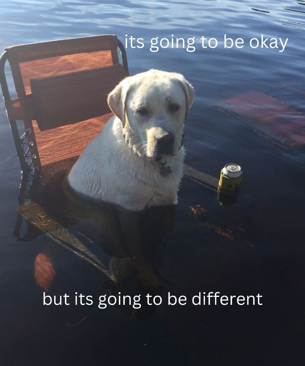 Yellow Labrador sitting calmly in a lawn chair submerged in high flood water with a beer.