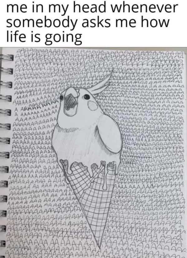 Sketch of screaming cockatiel in ice cream cone surrounded by screaming letters.