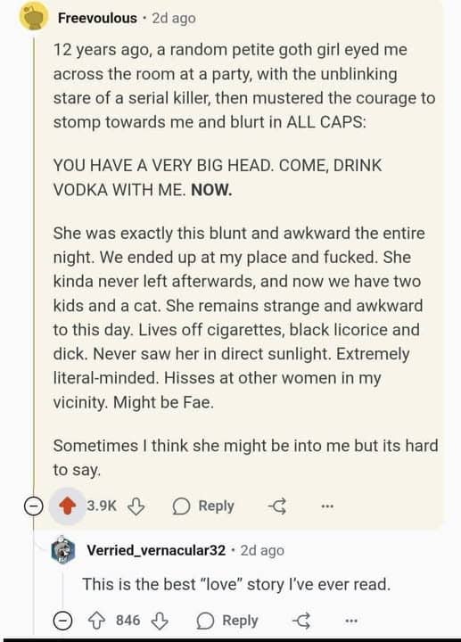 Reddit comment describing a humorous love story about meeting a blunt goth girl at a party.