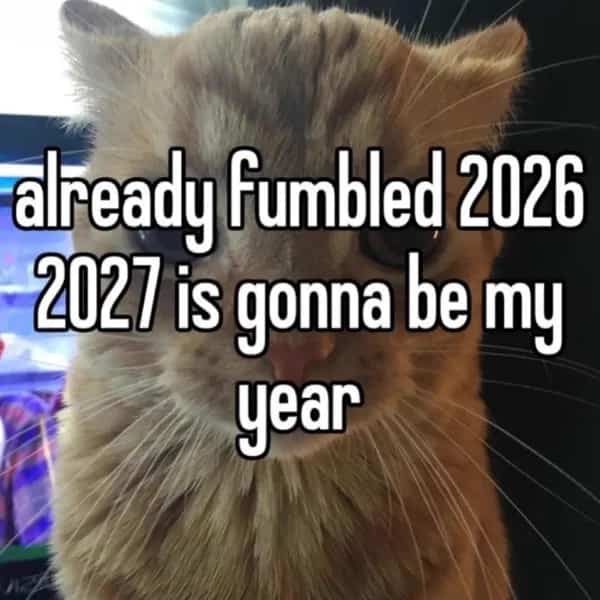 Close-up of a cat claiming to have already fumbled the year 2026.