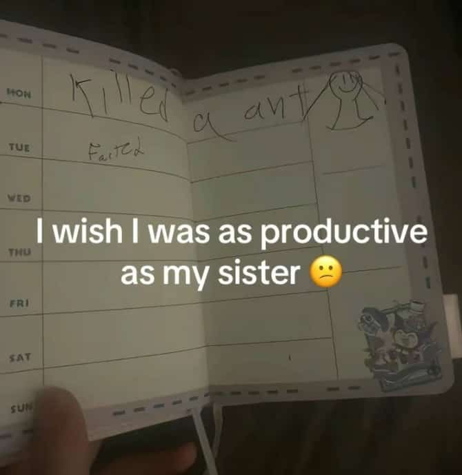 Child's diary entry listing daily accomplishments as killing an ant and farting.