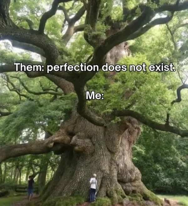 Giant ancient tree with massive trunk labeled as perfection compared to skepticism.