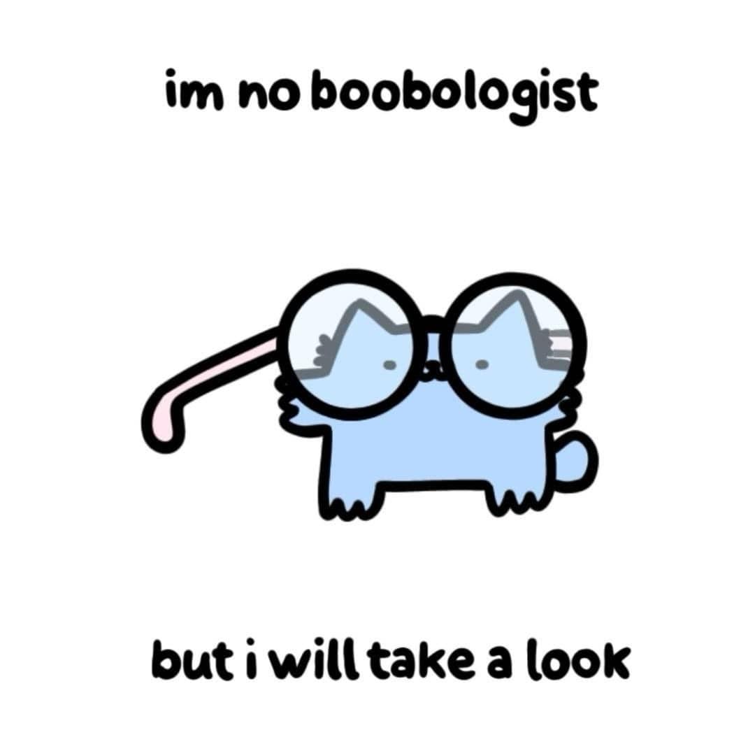 Women in bikinis skiing behind a car on a frozen lake funny pic.