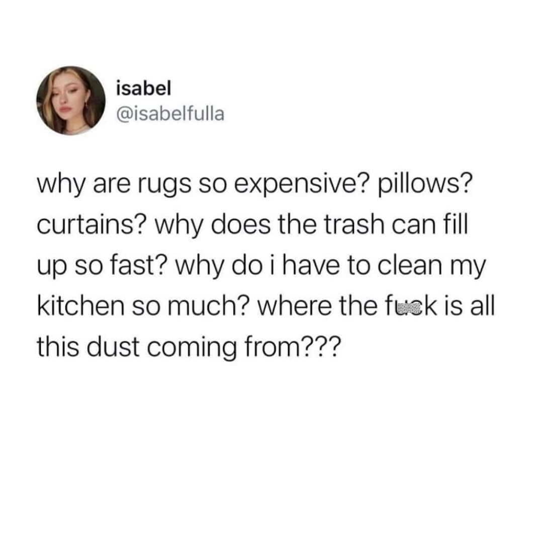 Tweet ranting about expensive rugs and the constant cleaning required for adulthood.