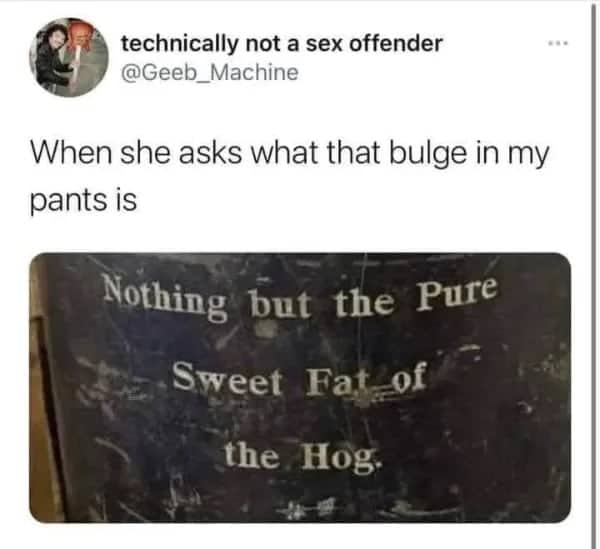 Tweet meme comparing pants bulge to pure sweet fat of the hog funny pics