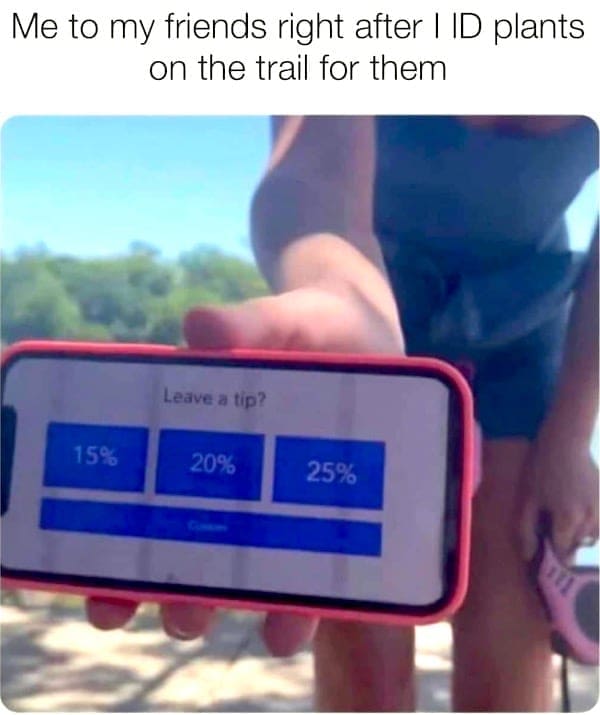 POV of someone holding up a digital tip screen after identifying a plant.