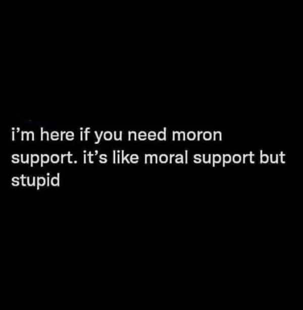 ext post offering moron support which is described as stupid moral support.